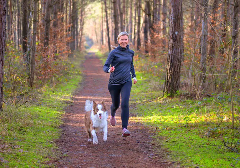 Owners encouraged to ‘take the lead’ and kick-start a healthy year for them and their pets