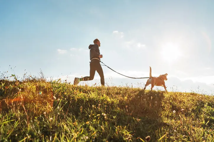 Dog running