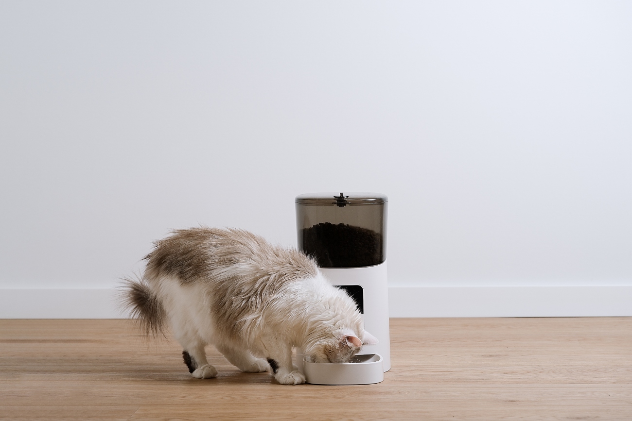 Cat eating from food dispenser