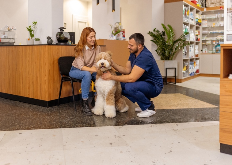 A Fluffy Dog Being Petted