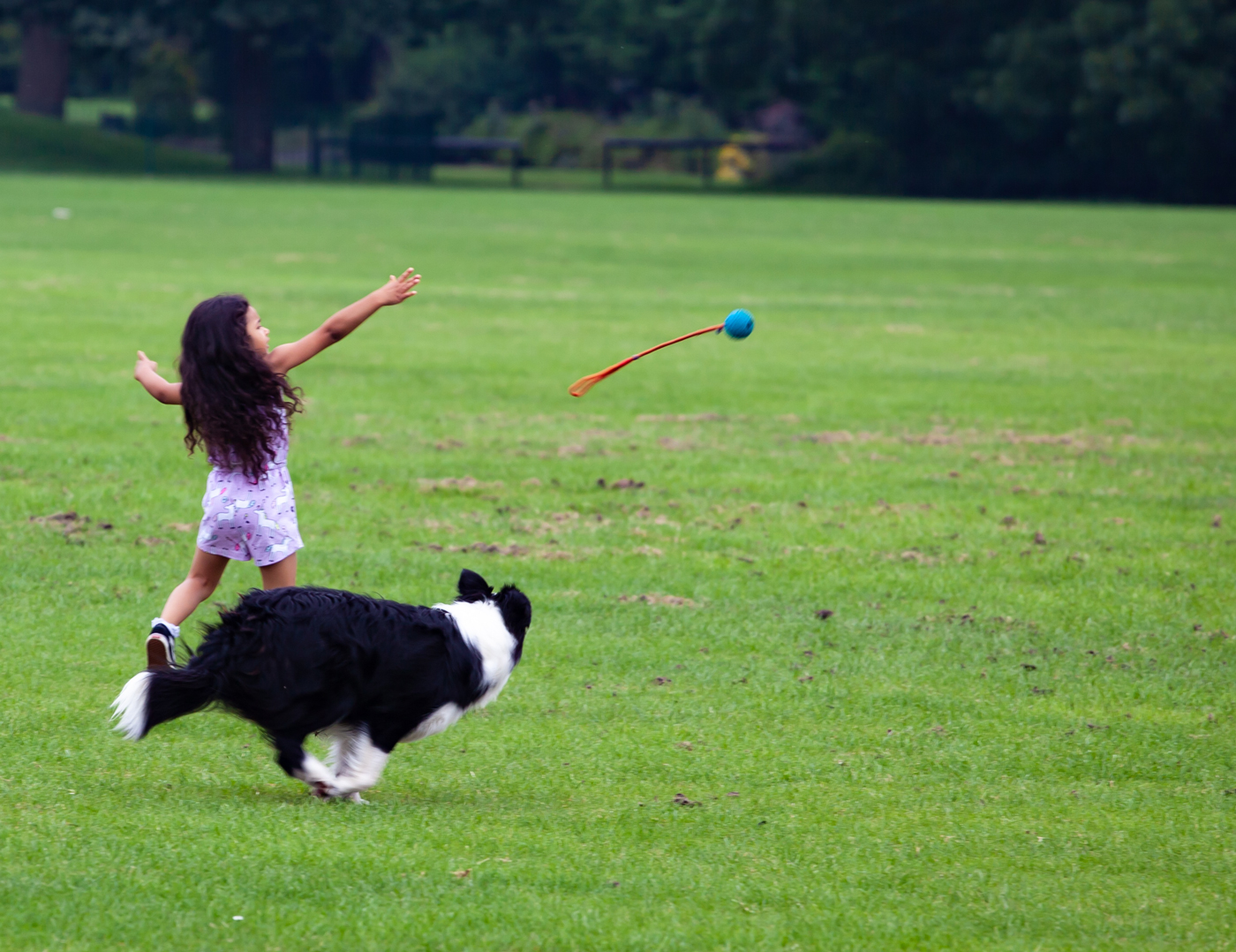 A child throwing a toy for a dog in a field