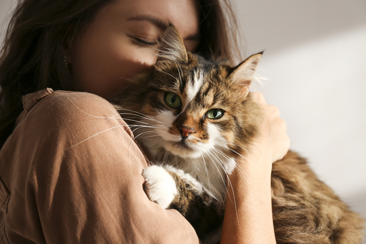 A woman holding a cat up to her shoulder affectionately