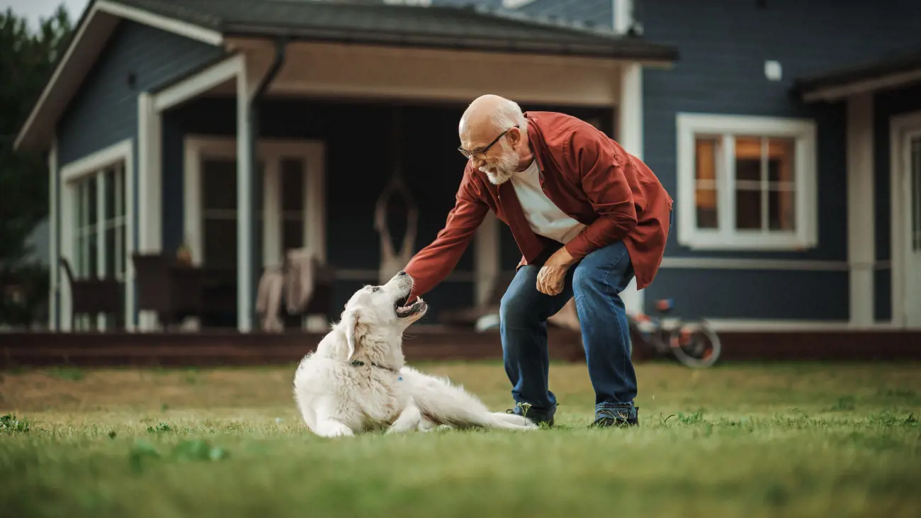 elderly man stroking dog