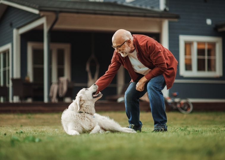 elderly man stroking dog