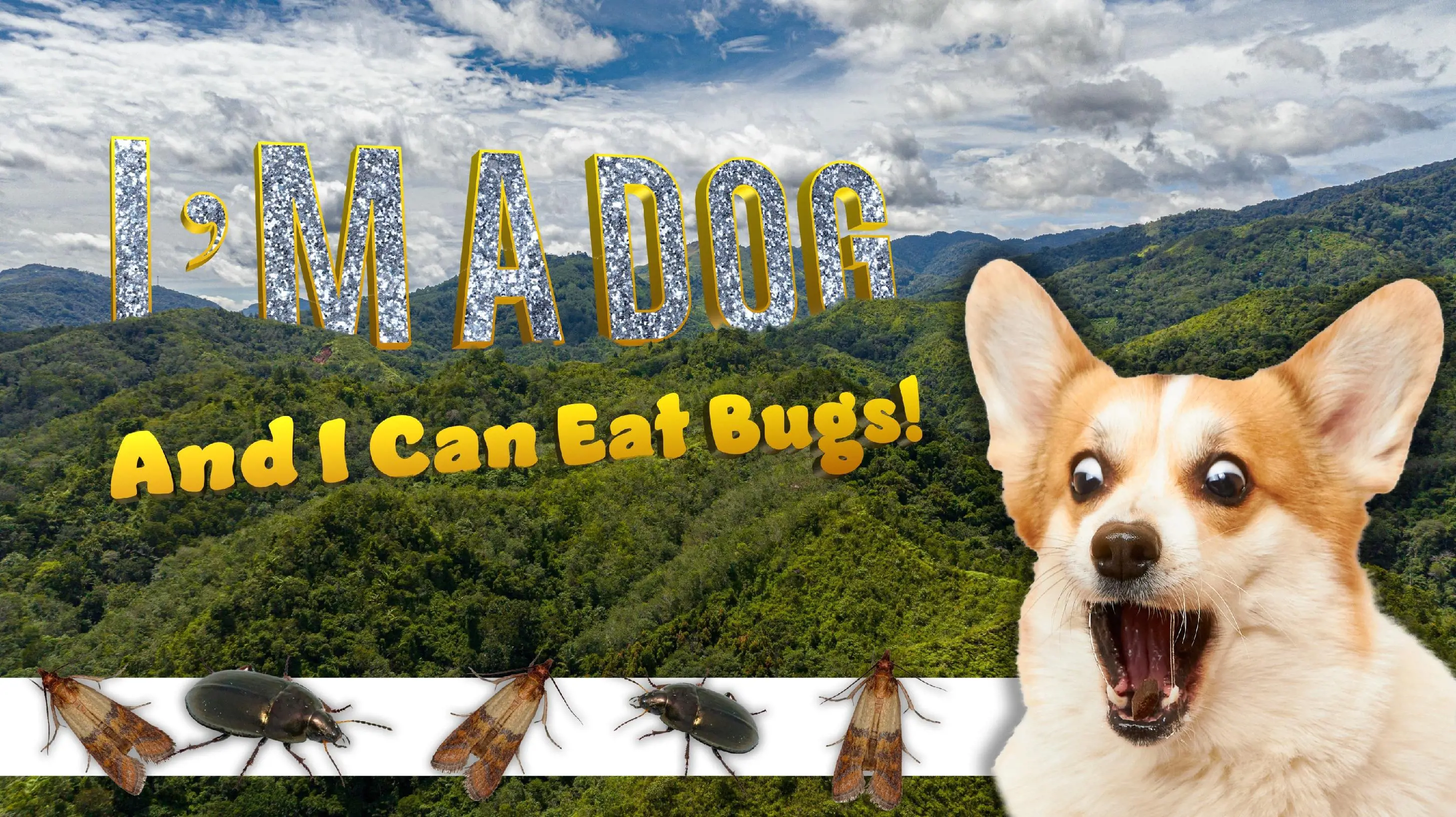 Dog in jungle with sign saying 'I'm a dog and I can eat bugs!'