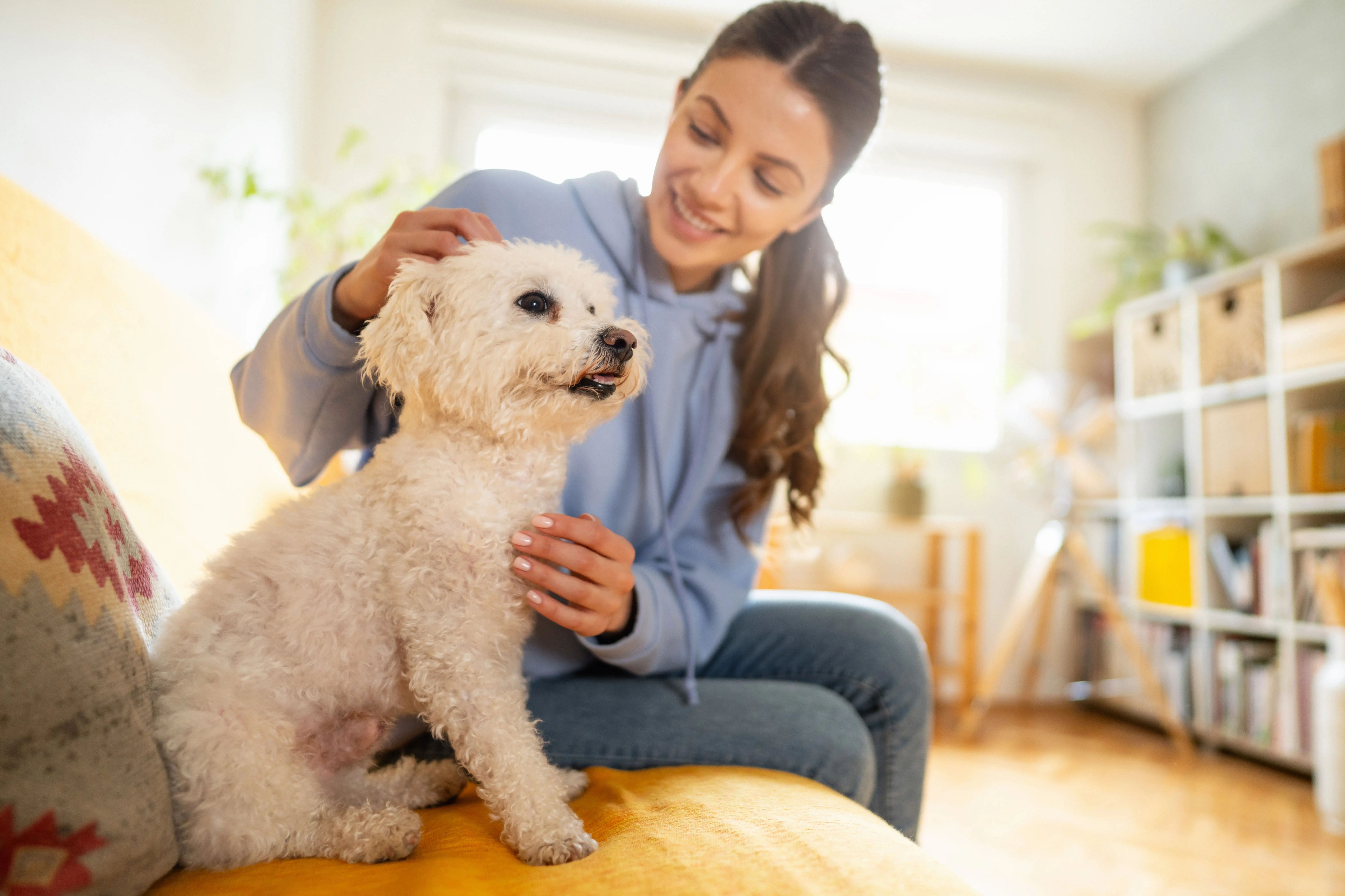 woman playing with a dog
