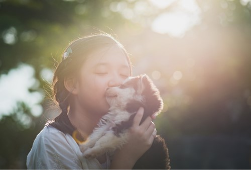A young girl holing a puppy outside on a sunny day