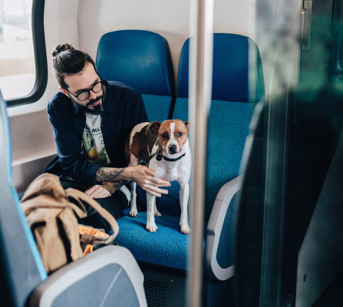 A man and his dog sat on a train