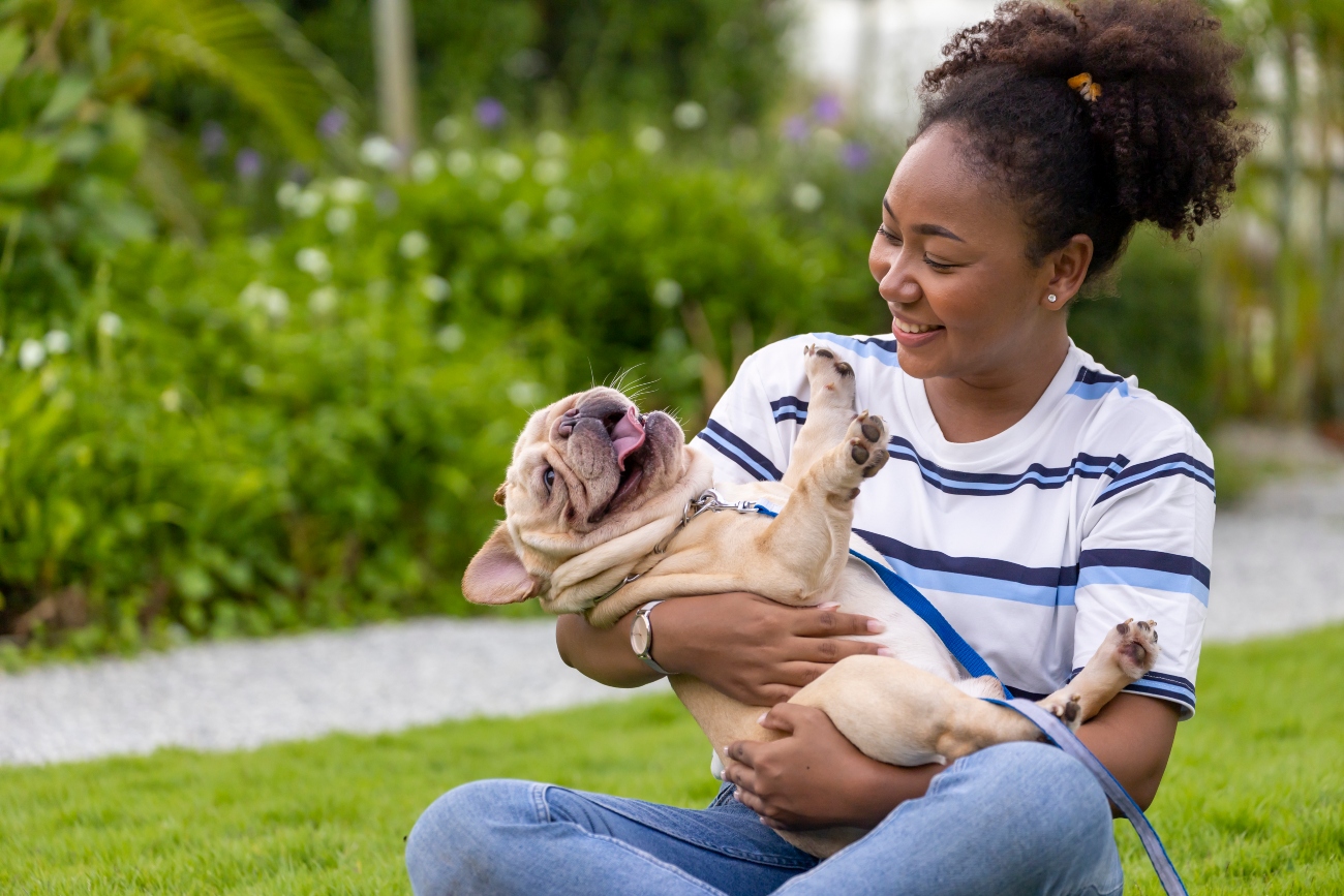 owner hugging frenchie