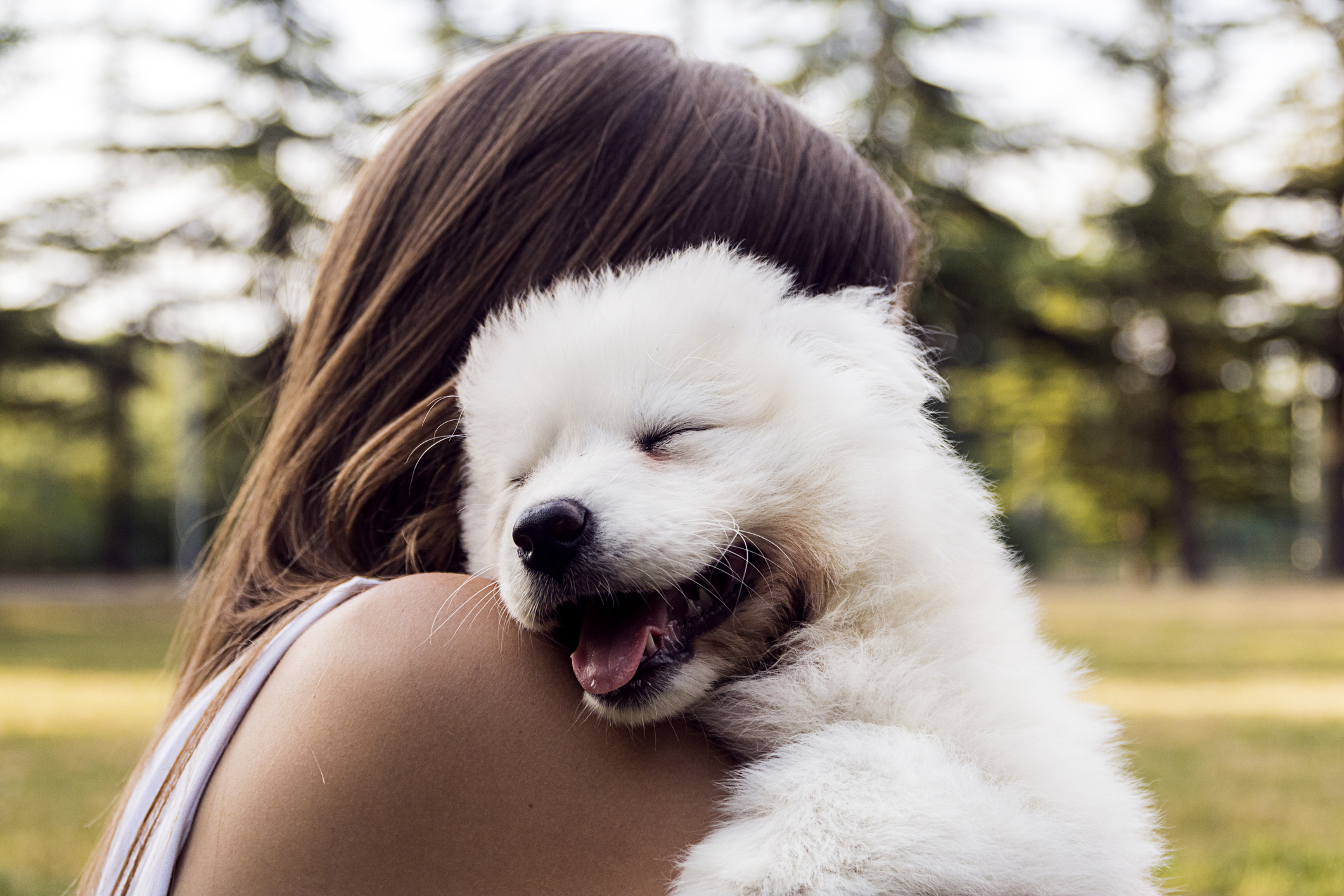 An owner hugging a fluffy white dog in a woodland surrounding