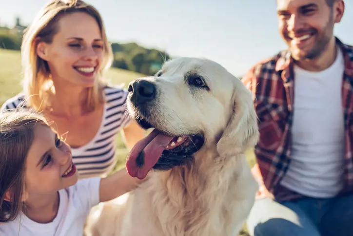 Happy family dog