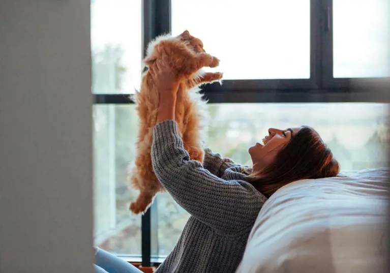 Woman holding ginger cat in the air 