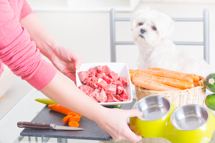 A dog sitting at a table with its owner preparing various foods