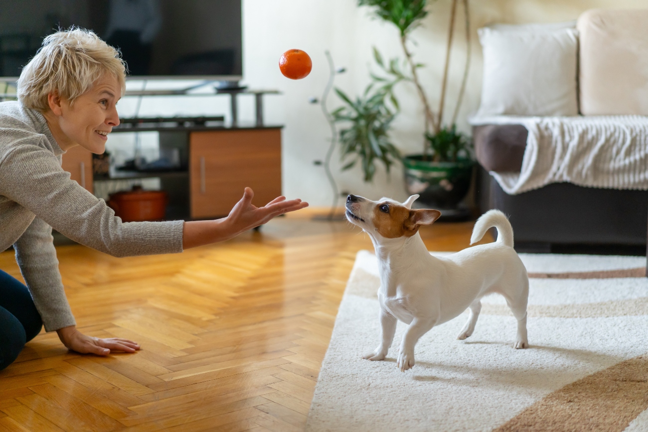 elderly woman playing with a jack russell