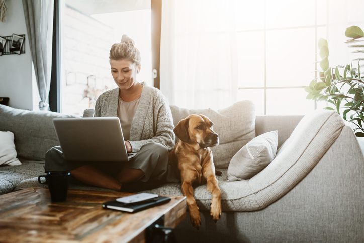 Owner and dog online research
