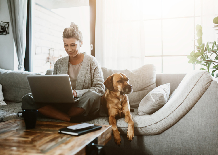 Owner and dog online research